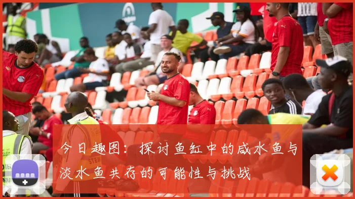 今日趣图：探讨鱼缸中的咸水鱼与淡水鱼共存的可能性与挑战