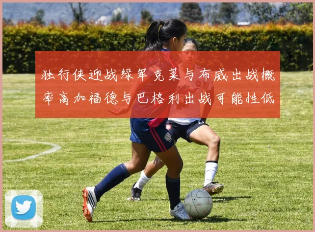 独行侠迎战绿军克莱与布威出战概率高加福德与巴格利出战可能性低