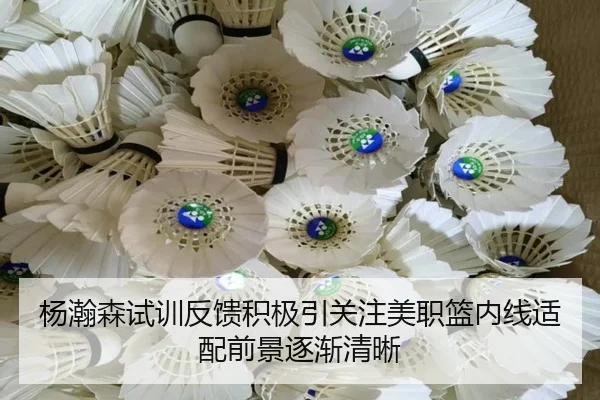 杨瀚森试训反馈积极引关注美职篮内线适配前景逐渐清晰